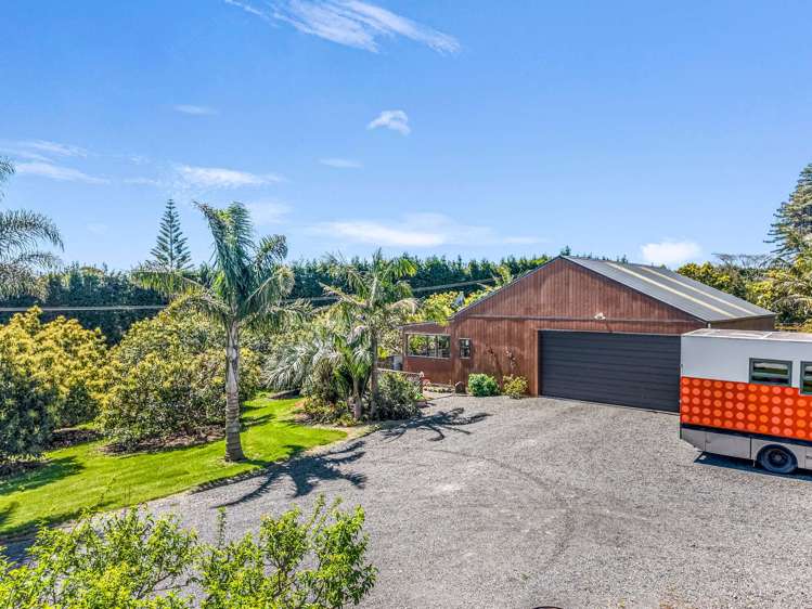 48A Tetley Road Katikati_10