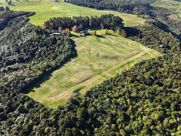 1679 Whangamata Road Marotiri_25