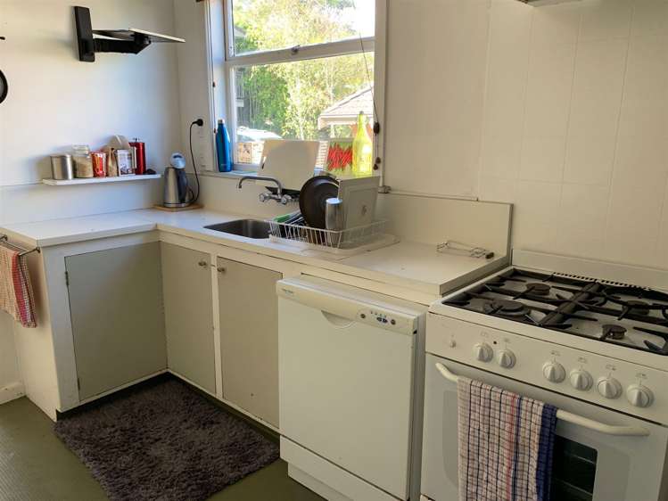 27 New Windsor Road Avondale_3