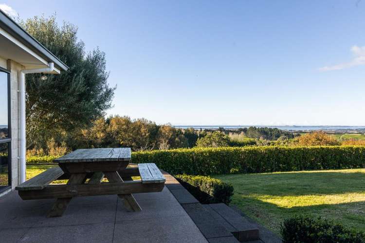 329B Thompsons Track Katikati_11