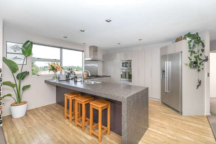 9 Paget Lane Dinsdale_4