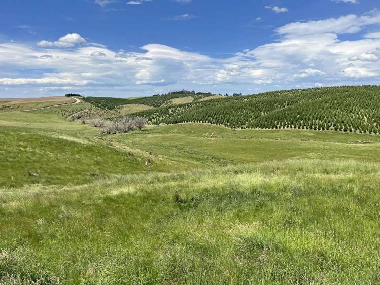 107 Balmoral Road Livingstone_3