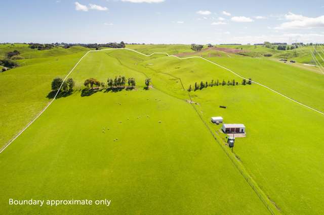 465 Makino Road Feilding_4