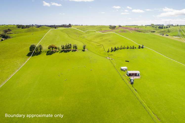 465 Makino Road Feilding_4