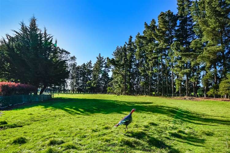 236 Larcombs Road Rolleston_30