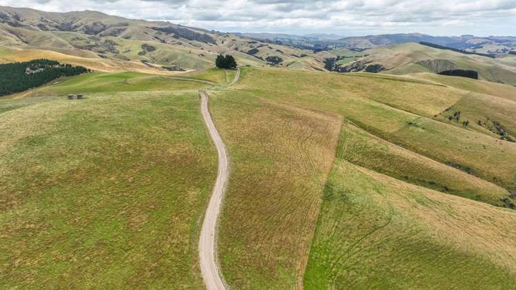 2 Cotswold Road Omihi_5