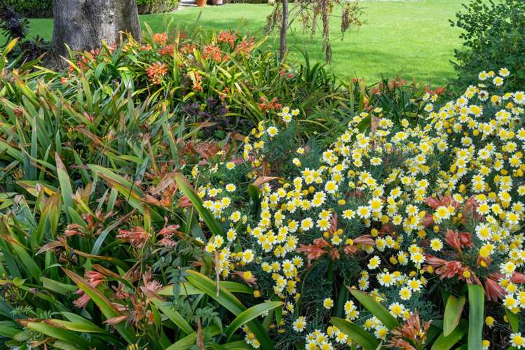 1191-1193 State Highway 1 Te Horo_25