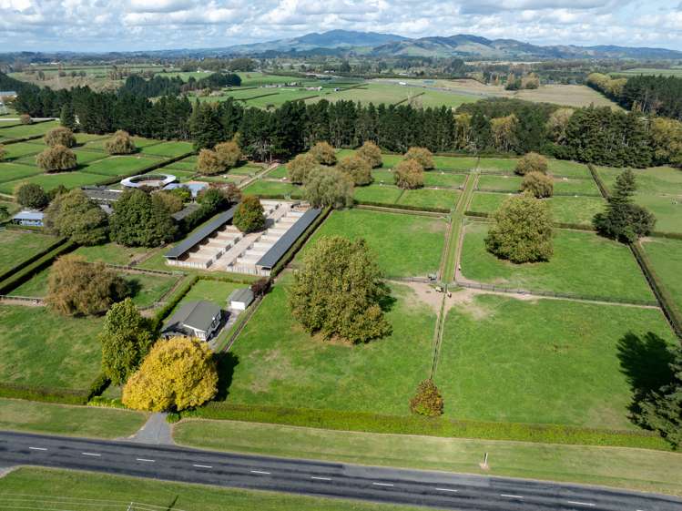 290 Thornton Road Cambridge Waipa Houses for Sale One Roof