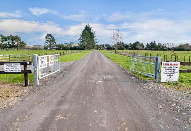 27 Royal Doulton Drive Pukekohe_4