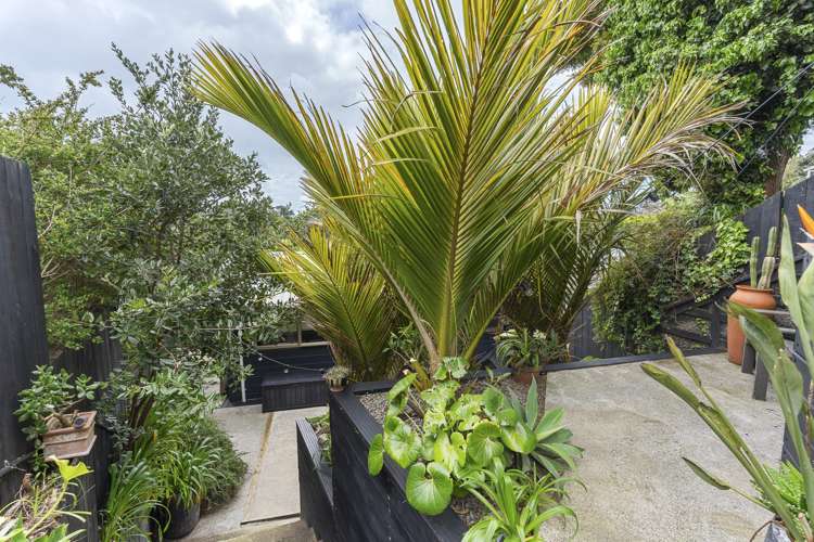 12b Wheeler Place Upper Vogeltown_13