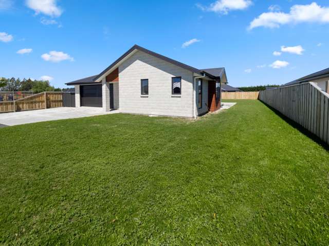 56 Catherine Street Tinwald_2