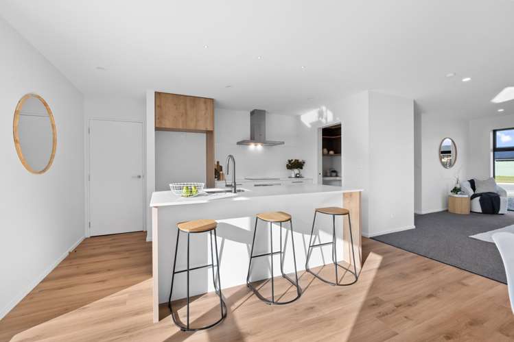 19 Orwell Way Hampstead_4
