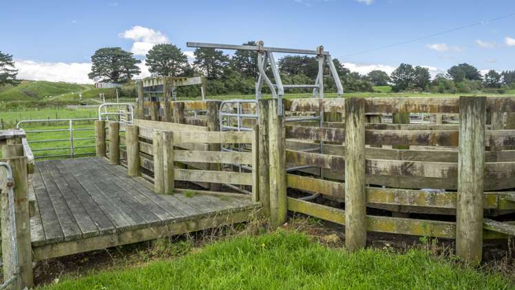 84134 State Highway 2 Eketahuna_12