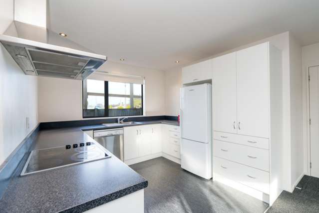 213 North Road Waikiwi_4