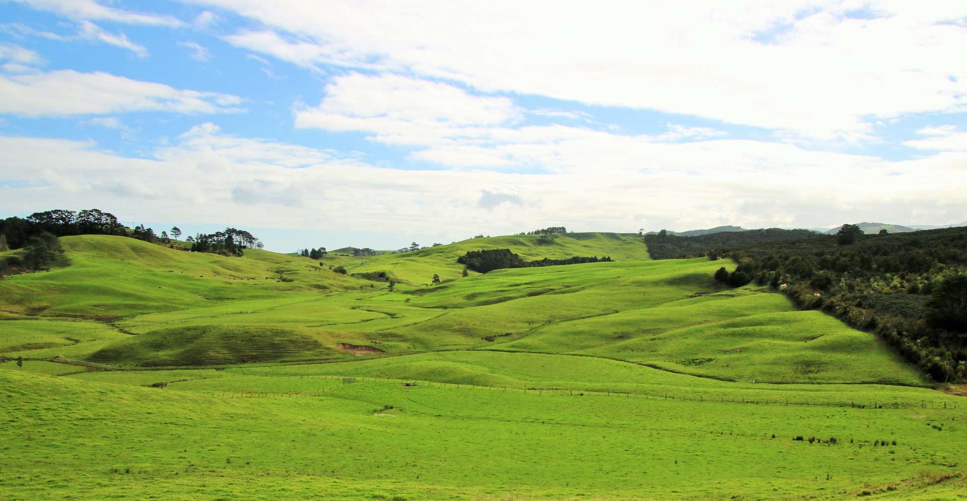 376 Opanake Road Dargaville Surrounds_0