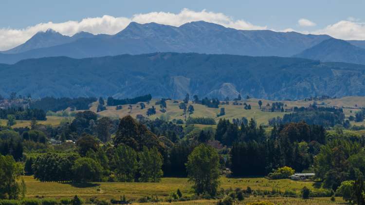 103 George Harvey Road Upper Moutere_10