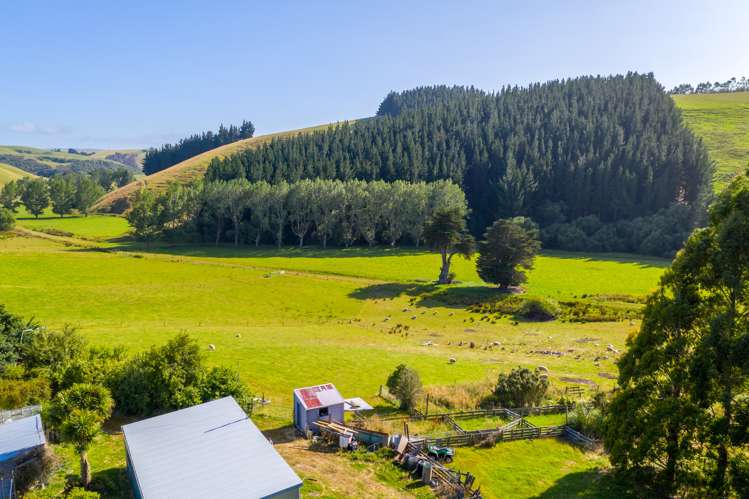 835 Lawrence Waitahuna Highway Waitahuna_17