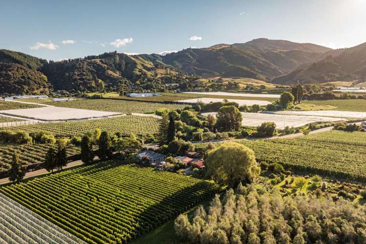 60 Takaka Hill Highway Riwaka_20