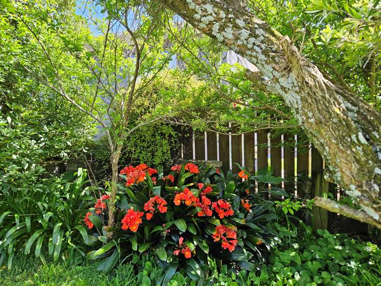 13 Snell Crescent Waihi Beach_22