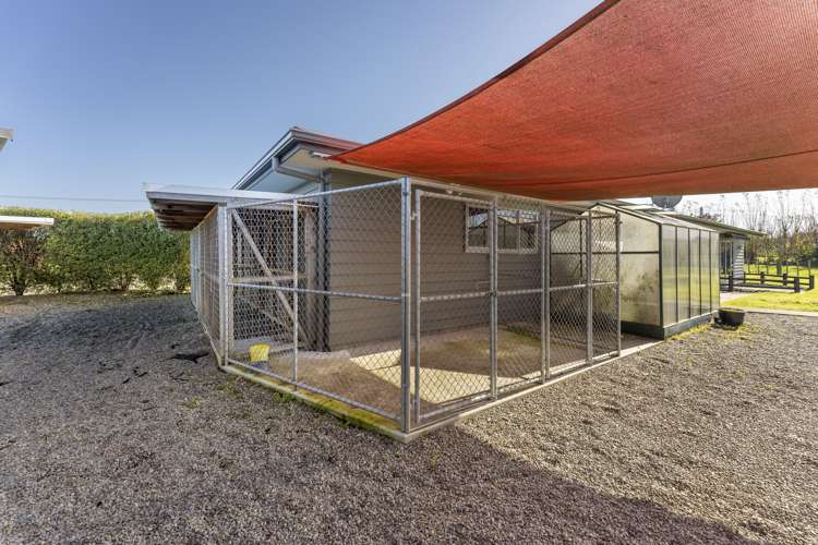 394a Makino Road Feilding_19