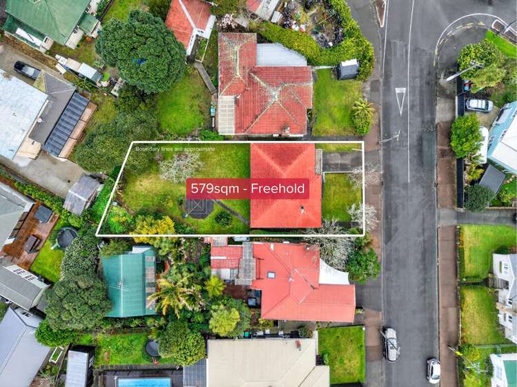 3 Pasadena Avenue Point Chevalier_10