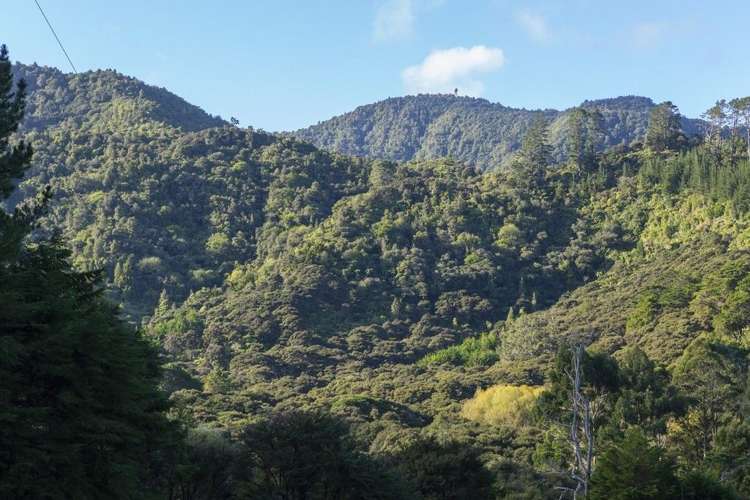 584 Matakana Valley Road Matakana_11