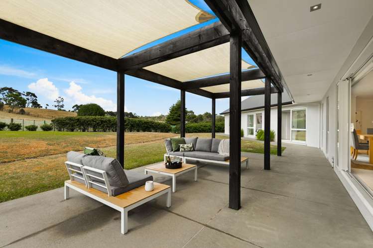 255 Austin Road Dairy Flat_5