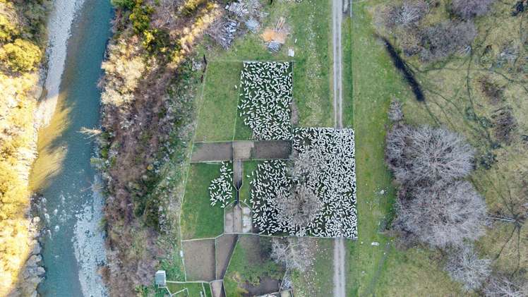 4098 Waihopai Valley Road Waihopai Valley_14