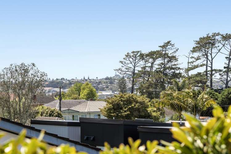 2/10 Akehurst Avenue New Lynn_15