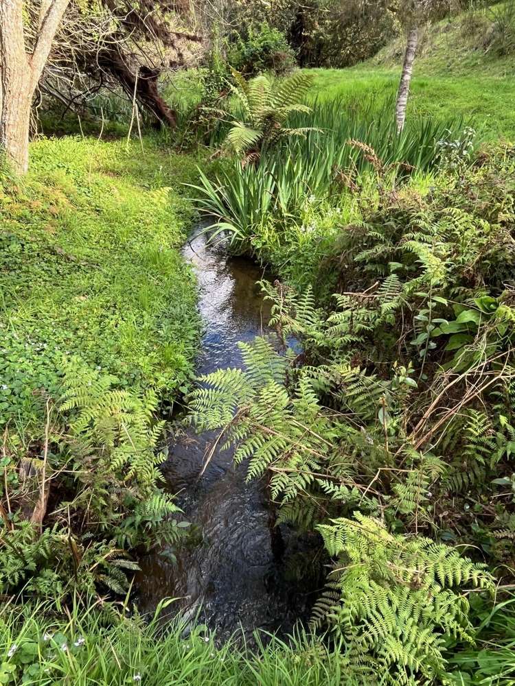 93A Woodside Road Matangi_20