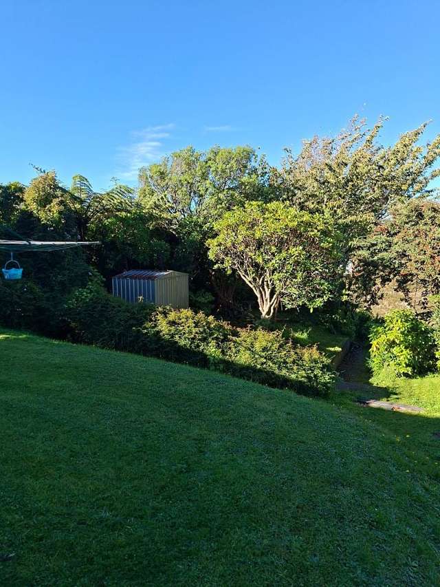 17 Kitchener Terrace Johnsonville_1