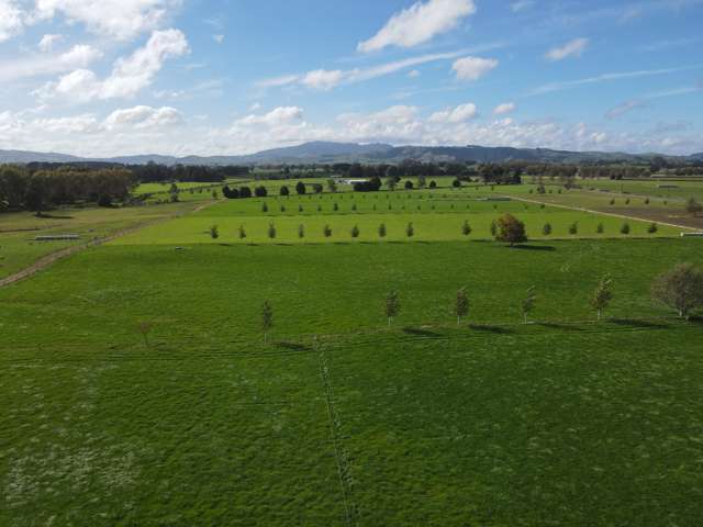 105 Chamberlain Road Te Awamutu_4