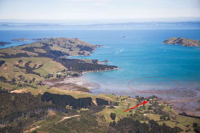 Coromandel Oyster Company Limited 1613 Manaia Road Coromandel_4