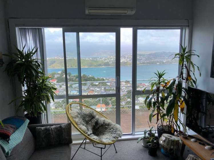 17A Marewa Road Hataitai_7