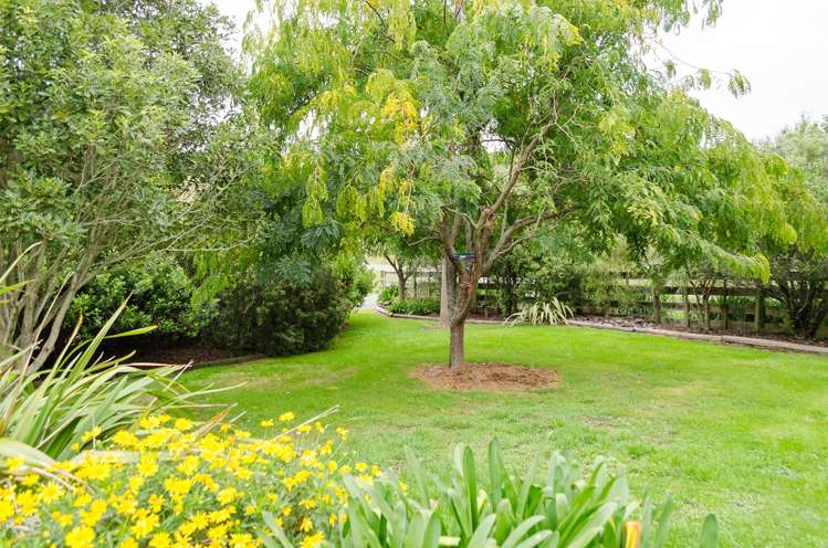 478 Te Kopi Road Te Whiti_23