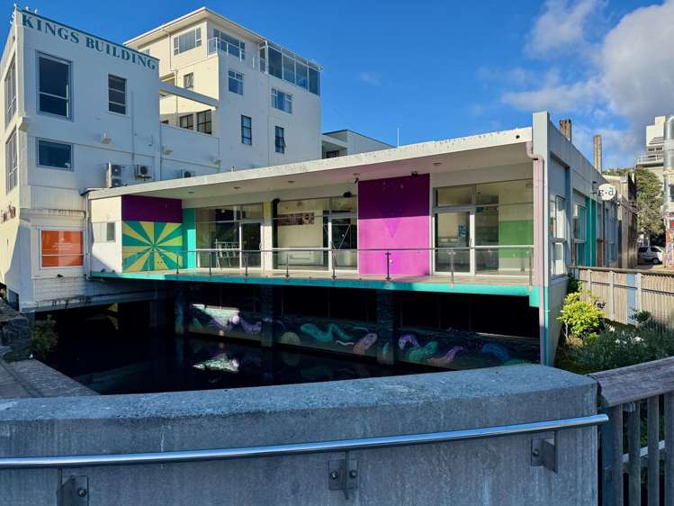 17 Brougham Street New Plymouth_9