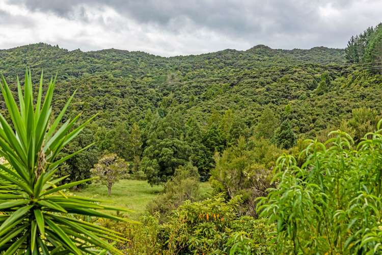 5B Peria Road Kaitaia_33