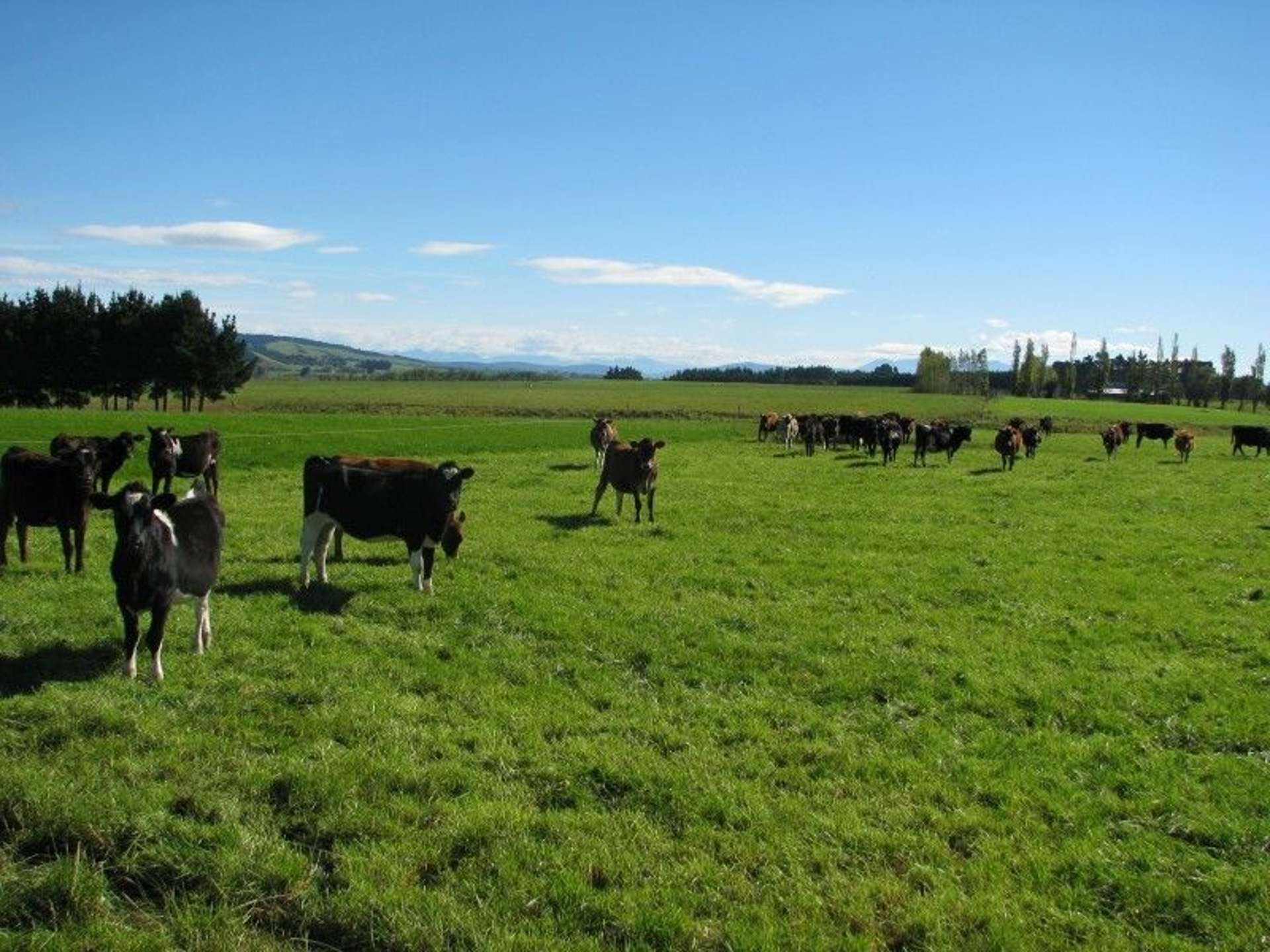 252 Hamilton Road Otautau_0