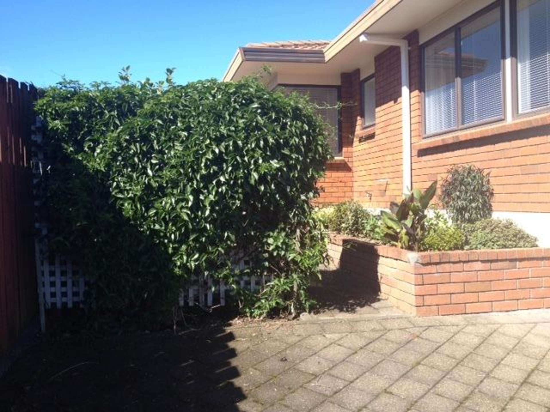 8a Camellia Place Greerton_0