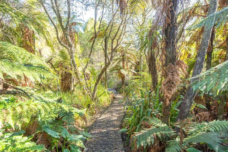 13 Willow Brook Lane Te Kowhai_3