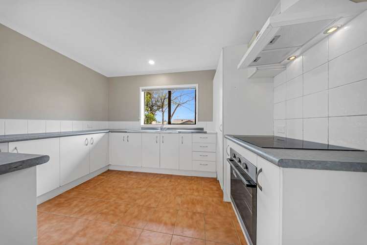 29 Pitt Avenue Clendon Park_6