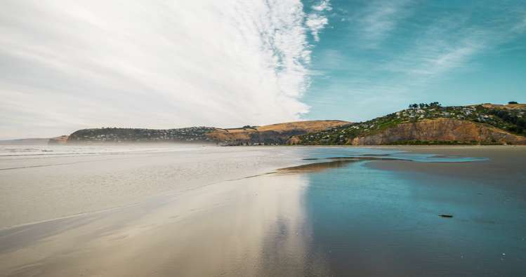 205 Rocking Horse Road Southshore_17