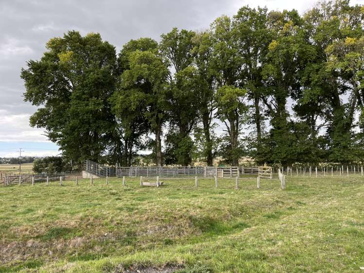 18 JG Wilson Drive Waipukurau_13