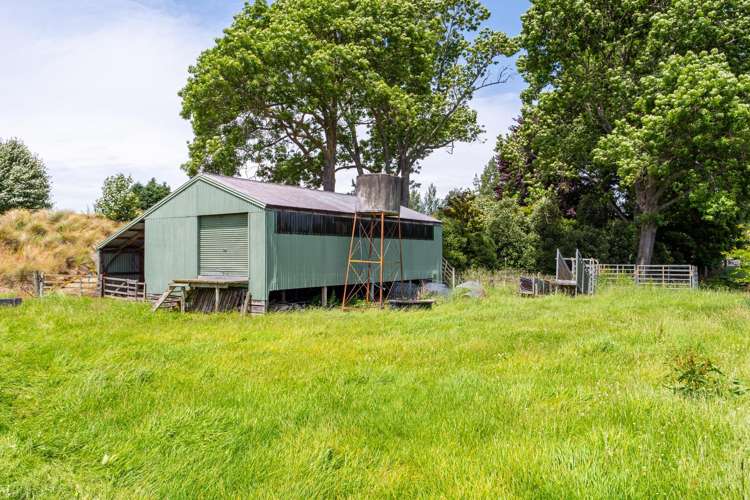 32 Woodbury Road Geraldine_19