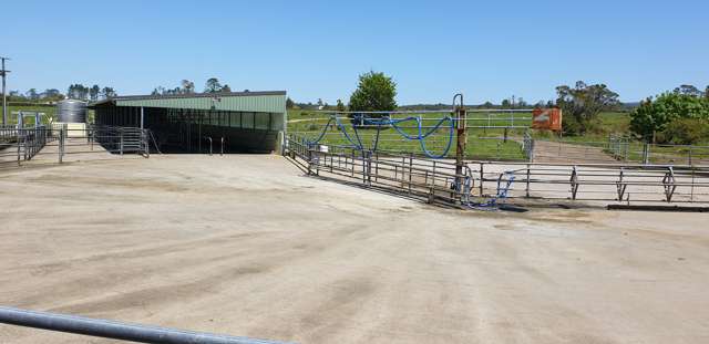 452 Surrey Road Tariki_2