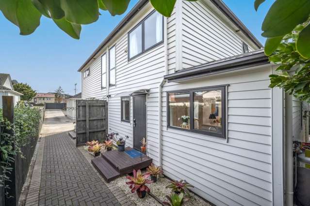 259B Mount Smart Road Onehunga_2