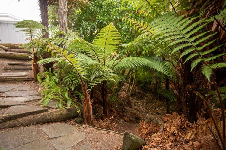 5 Tainui Street Raumati Beach_21