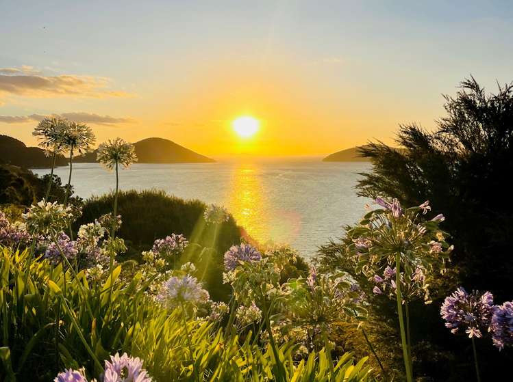 1980 Wyuna Bay Road Coromandel ThamesCoromandel Houses for Sale