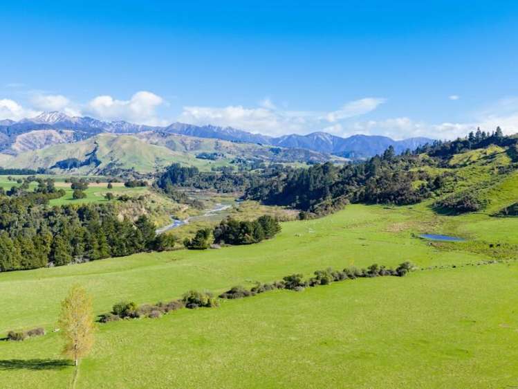 1139 Blackburn Road Central Hawkes Bay_15