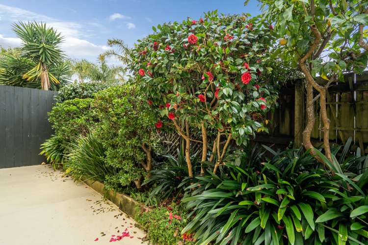 3/52 Taharoto Road Takapuna_16